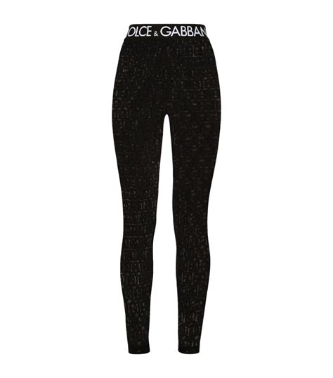 dolce & gabbana leggings|d&g website.